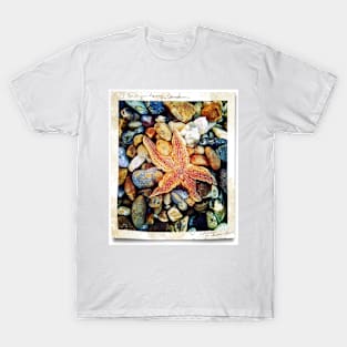 Starfish T-Shirt